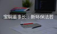寶鋼董事長：新環保法若嚴格執行多數鋼企難過關