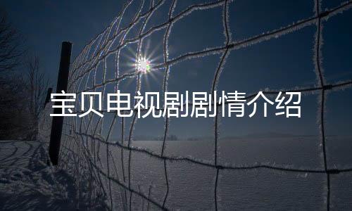 寶貝電視劇劇情介紹