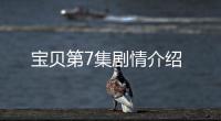 寶貝第7集劇情介紹