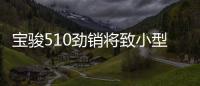 寶駿510勁銷將致小型SUV市場格局改變