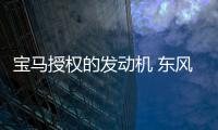 寶馬授權的發動機 東風風行X6申報圖曝光