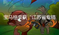 寶馬格榮獲“江蘇省專精特新中小企業”稱號
