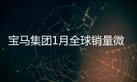 寶馬集團1月全球銷量微增 在華銷量漲15%