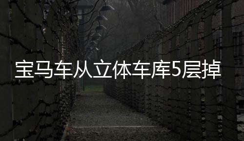 寶馬車從立體車庫(kù)5層掉落 幸無(wú)人員傷亡