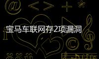 寶馬車聯網存2項漏洞 可被黑客盜走車輛