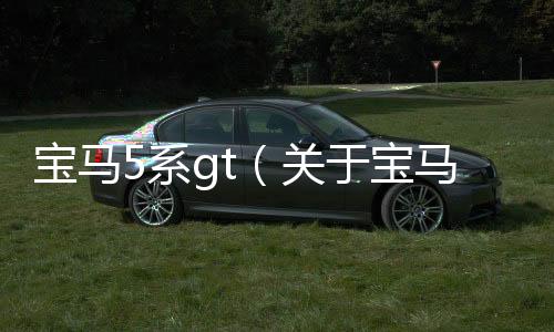 寶馬5系gt（關于寶馬5系gt的基本情況說明介紹）