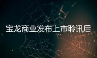 寶龍商業(yè)發(fā)布上市聆訊后資料集 在管面積近1700萬平方米