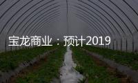 寶龍商業：預計2019年凈利同比增長不低于50%