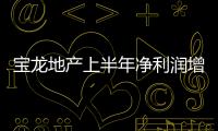 寶龍地產上半年凈利潤增速超營收，少數股東更快一步