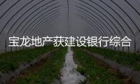 寶龍地產(chǎn)獲建設(shè)銀行綜合融資服務(wù)