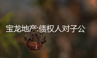 寶龍地產:債權人對子公司寶龍維京提出清盤申請,后者持有寶龍商業63%股權