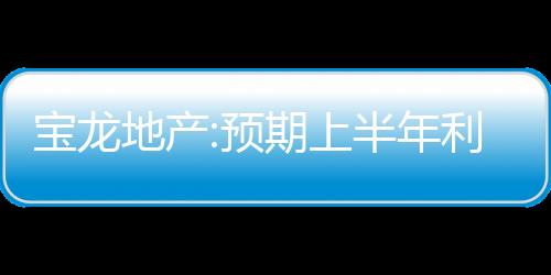 寶龍地產:預期上半年利潤約12