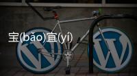 寶(bǎo)宜(yí)龍(lónɡ)然(rán)具體內容！