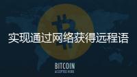 實現通過網絡獲得遠程語音服務