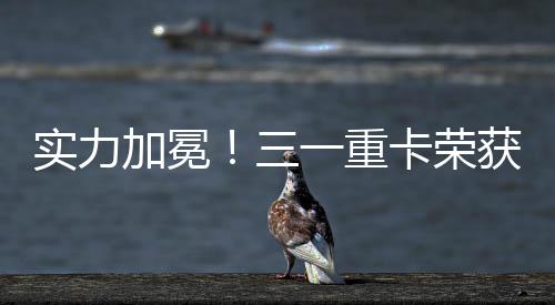 實力加冕！三一重卡榮獲“2023鉅輪獎·年度卓越新能源商用車企業”