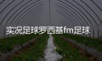 實況足球羅西基fm足球經理游戲足球彩票500萬李鐵國足最新消息