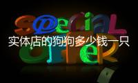 實體店的狗狗多少錢一只(茶杯狗狗多少錢一只)