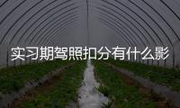實習期駕照扣分有什么影響？