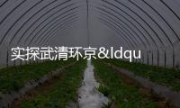 實探武清環京“睡城”:160萬房子跌至50萬是常態,撿漏者還要狠砍價