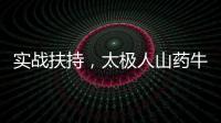 實戰扶持，太極人山藥牛奶強勢備戰中秋“節禮戰”！