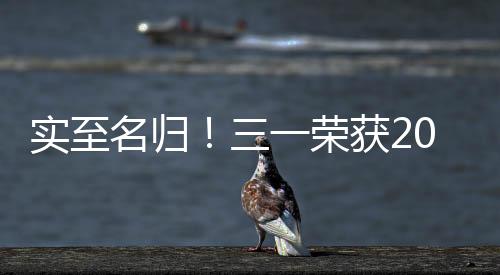 實至名歸！三一榮獲2023年度中國預拌砂漿行業“影響力品牌”