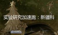 實(shí)驗(yàn)研究加速跑：新疆科技學(xué)院采購之差示掃描與熱重篇