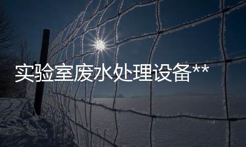 實(shí)驗(yàn)室廢水處理設(shè)備**生產(chǎn)廠家