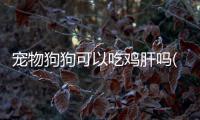 寵物狗狗可以吃雞肝嗎(雞肝寵物狗狗能多吃嗎)
