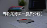 寵物狗博美一般多少錢(qián)(寵物狗博美怎么養(yǎng))