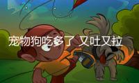寵物狗吃多了 又吐又拉的怎么辦啊？狗狗吃多了又吐又拉怎么辦