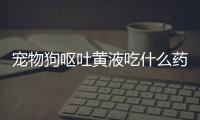 寵物狗嘔吐黃液吃什么藥(寵物狗漏尿吃什么藥)