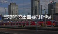 寵物狗咬出血要打針嗎(被正常寵物狗咬出血了怎么辦)