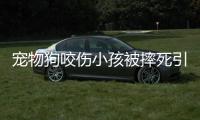 寵物狗咬傷小孩被摔死引發(fā)熱議，前因后果整理匯總！