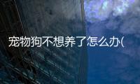 寵物狗不想養(yǎng)了怎么辦(家里的寵物狗不想養(yǎng)了怎么辦)