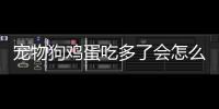 寵物狗雞蛋吃多了會怎么樣嗎(狗狗雞蛋吃多了會不會拉稀)