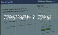 寵物貓的品種？ 寵物貓品種大全及價(jià)格