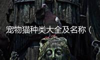 寵物貓種類大全及名稱（寵物貓種類大全）