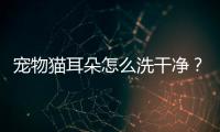 寵物貓耳朵怎么洗干凈？貓耳朵如何清洗