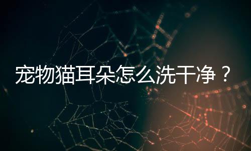 寵物貓耳朵怎么洗干凈？貓耳朵如何清洗