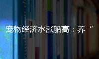 寵物經濟水漲船高：養“毛孩子”究竟要花多少錢？
