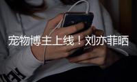 寵物博主上線！劉亦菲曬與貓咪合照畫風唯美