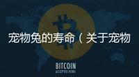 寵物兔的壽命（關于寵物兔的壽命的基本情況說明介紹）