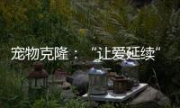 寵物克隆：“讓愛延續”背后有隱憂