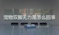 寵物雙腳無力是怎么回事兒？寵物雙腳無力是怎么回事啊