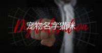 寵物名字貓咪