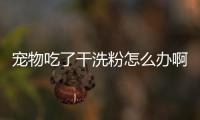 寵物吃了干洗粉怎么辦?。抗烦粤烁上捶蹠趺礃?/></div></a><area lang=