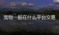 寵物一般在什么平臺交易(有什么寵物交易的平臺嗎)