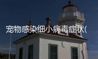 寵物感染細(xì)小病毒癥狀(寵物感染寄生蟲(chóng)怎么辦)
