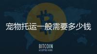 寵物托運一般需要多少錢?怎樣辦理寵物托運手續