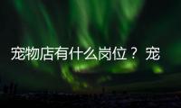 寵物店有什么崗位？ 寵物店一般招兼職嗎